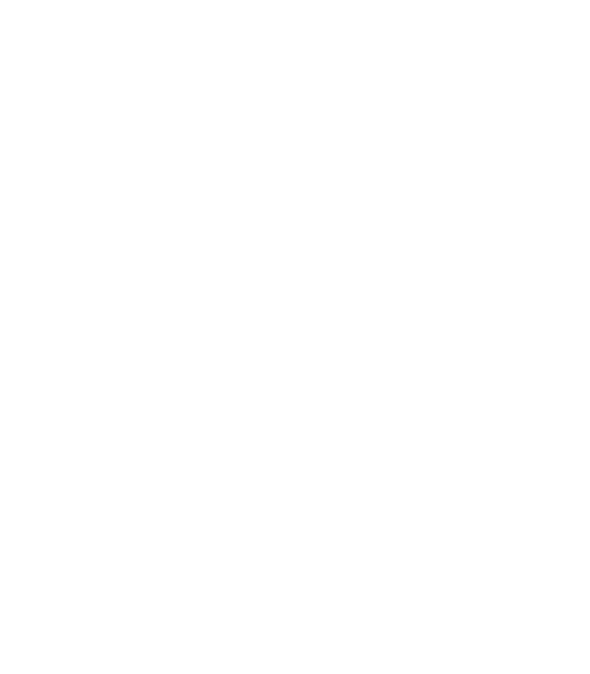 prm.png